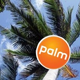 Illustration for article titled Palm to Release New Category of Mobile Devices